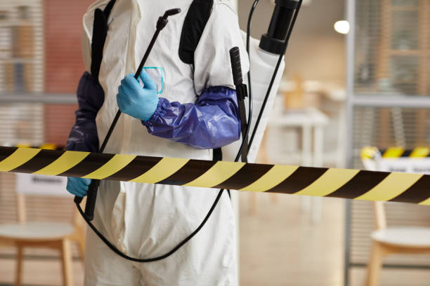 Professional Sewage Cleanup technician working in Goshen, OH